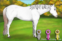 Horse Color:Grullo Varnish 