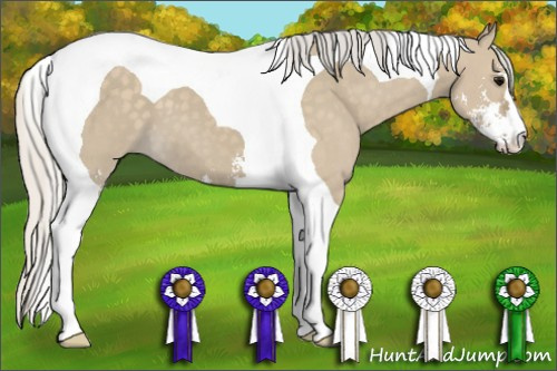 Horse Color: Silver Smoky Grullo Sabino Tobiano 