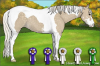 Horse Color:Silver Smoky Grullo Sabino Tobiano 