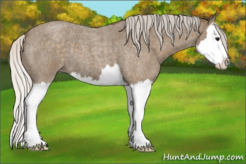 Horse Color: Silver Buckskin Roan Splash 