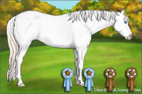Horse Color:Gold Champagne Dun Splash Appaloosa