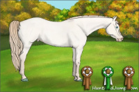 Horse Color:Perlino Roan Dun 