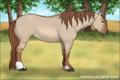 Horse Color: Liver Red Dun Tobiano 