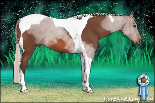 Horse Color: Silver Bay Sabino Tobiano 