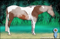 Horse Color:Silver Bay Sabino Tobiano