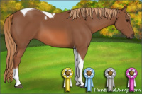 Horse Color:Liver Chestnut Tobiano