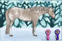 Horse Color:White Spotted Silver Grullo Ice 