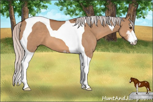 Horse Color: Silver Bay Dun Sabino Tobiano 