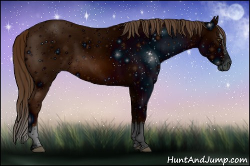 Horse Color: ERROR: UNKNOWN ANOMALY