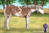 Horse Color:Liver Chestnut Sabino