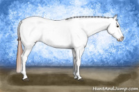 Horse Color:Grullo Blanket 
