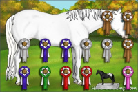 Horse Color:Palomino Pearl Dun Varnish 