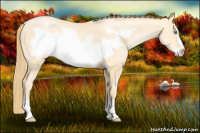 Horse Color:Buckskin Pearl Frame 