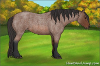 Horse Color:Bay Roan 
