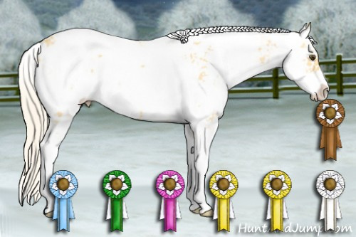Horse Color: Palomino Dun Sabino 