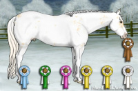 Horse Color:Palomino Dun Sabino 