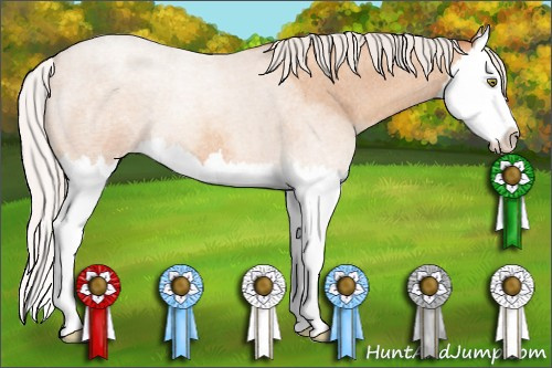 Horse Color: Silver Amber Champagne Roan Splash 