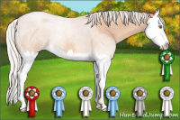 Horse Color:Silver Amber Champagne Roan Splash 