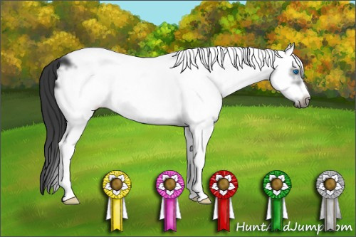 Horse Color: White Spotted Black Splash Frame 