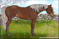 Horse Color:Silver Bay 