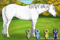 Horse Color:White Spotted Perlino Appaloosa 