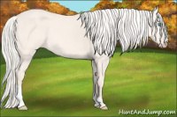 Horse Color:Cremello Dun 