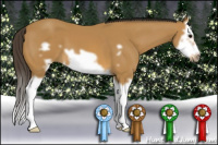 Horse Color:Buckskin Splash Frame 