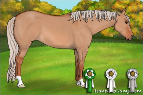 Horse Color: Silver Bay Dun 