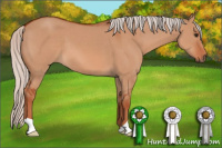 Horse Color:Silver Bay Dun 