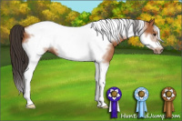 Horse Color:Bay Tobiano Frame 
