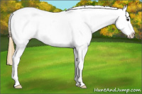 Horse Color:Buckskin Tobiano Snowcap 