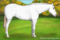 Horse Color:Grullo Near Fewspot 