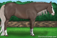 Horse Color:Silver Brown Splash 