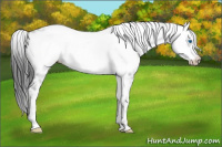 Horse Color:Black Frame 