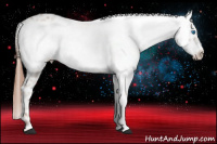 Horse Color:Liver Chestnut Frame
