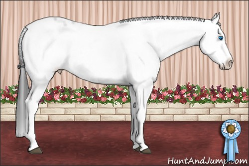 Horse Color: Black Frame 