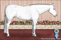 Horse Color:Black Frame 