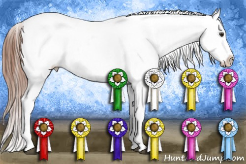 Horse Color: Liver Chestnut Frame Near Fewspot 