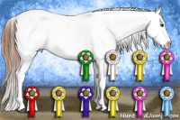 Horse Color:Liver Chestnut Frame Appaloosa 