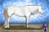 Horse Color:Liver Chestnut Frame 