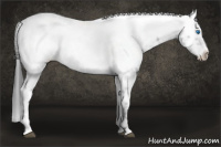 Horse Color:Black Frame 