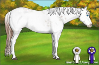 Horse Color:Liver Chestnut Frame 