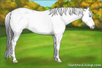 Horse Color:Black Frame
