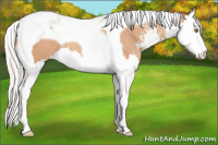 Horse Color:Silver Amber Champagne Sabino Splash Tobiano 