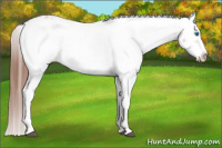 Horse Color:Liver Red Roan Frame