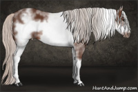 Horse Color:White Spotted Silver Brown Frame 