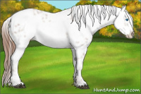 Horse Color:Liver Chestnut Frame 