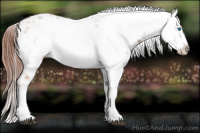 Horse Color:Liver Chestnut Frame 