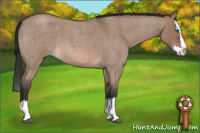 Horse Color:Bay Roan Dun Splash