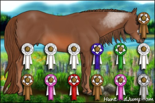 Horse Color: Liver Chestnut 